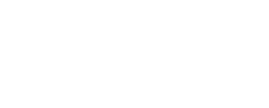 Lark Electric